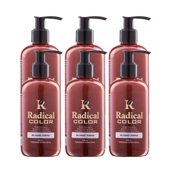 Radical Color NEW 25/Pumpkin Amonyaksız Su Bazlı Saç Boyası 250 ML 6 Adet Bal Kabağı