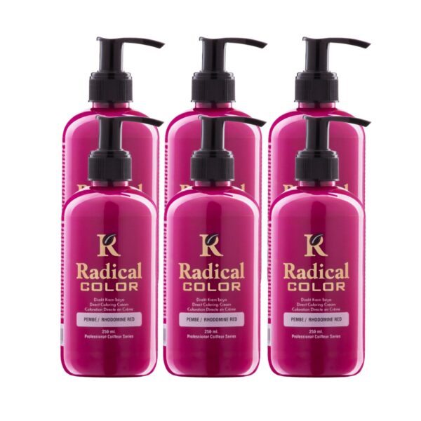Radical Color NEW 25/Pink Amonyaksız Su Bazlı Saç Boyası 250 ML 6 Adet Pembe